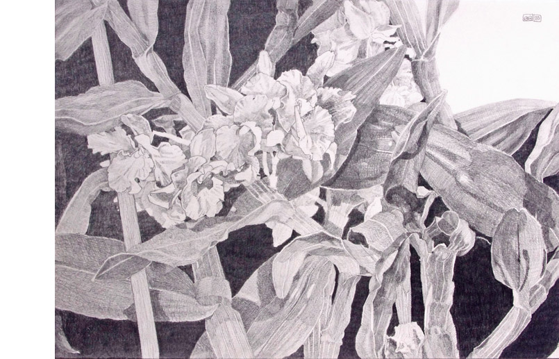 Nachtblüten oder Orchideen